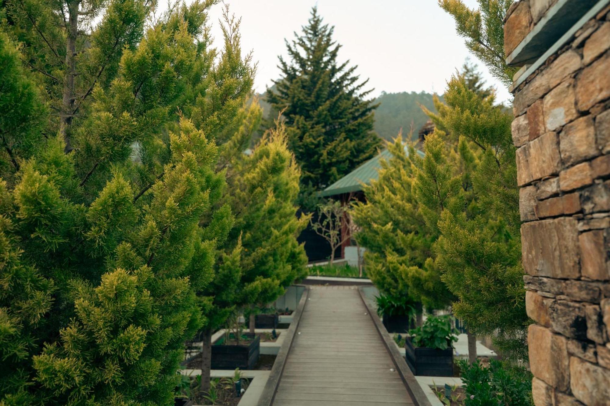 Brij Atmanya Bhowali, Nainital, A Luxury Mountain Escape エクステリア 写真