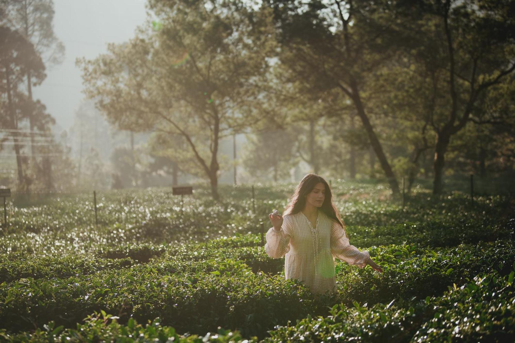 Brij Atmanya Bhowali, Nainital, A Luxury Mountain Escape エクステリア 写真